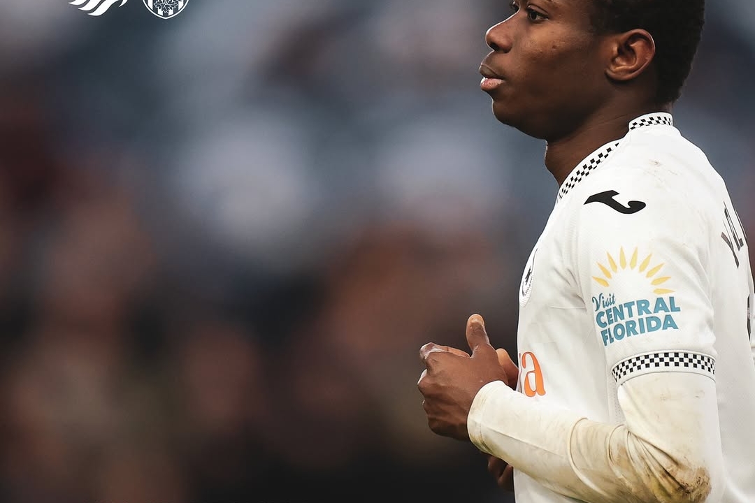 Fulton's Strike Lifts Swansea Over West Brom in Tight Contest