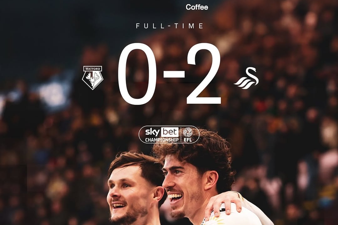 Swansea Outclass Watford with Stamenic's Skillful Display
