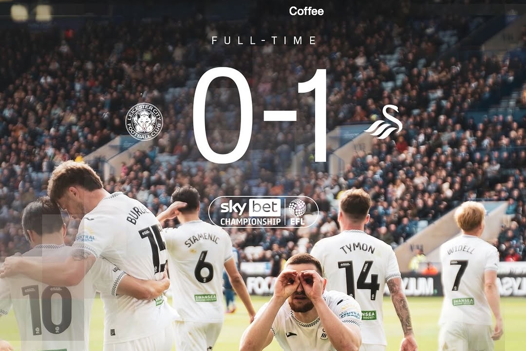Vipotnik's Strike Lifts Swansea Over Leicester 1-0
