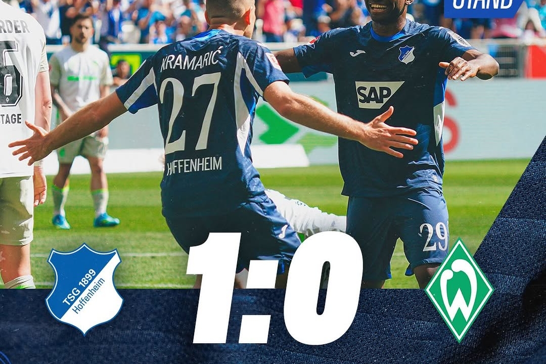 Hoffenheim's Narrow Victory Over Bremen as Toure Strikes Early