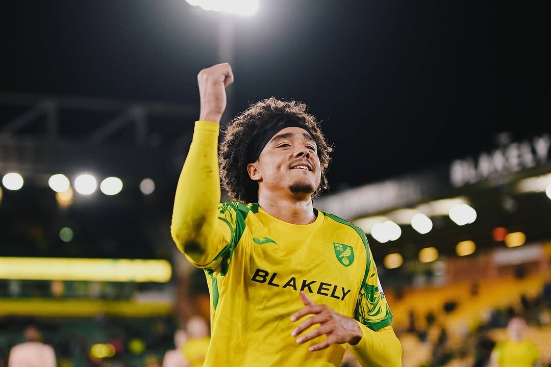 Norwich Fend Off Birmingham's Late Push in 2-1 Victory